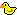 Duckie